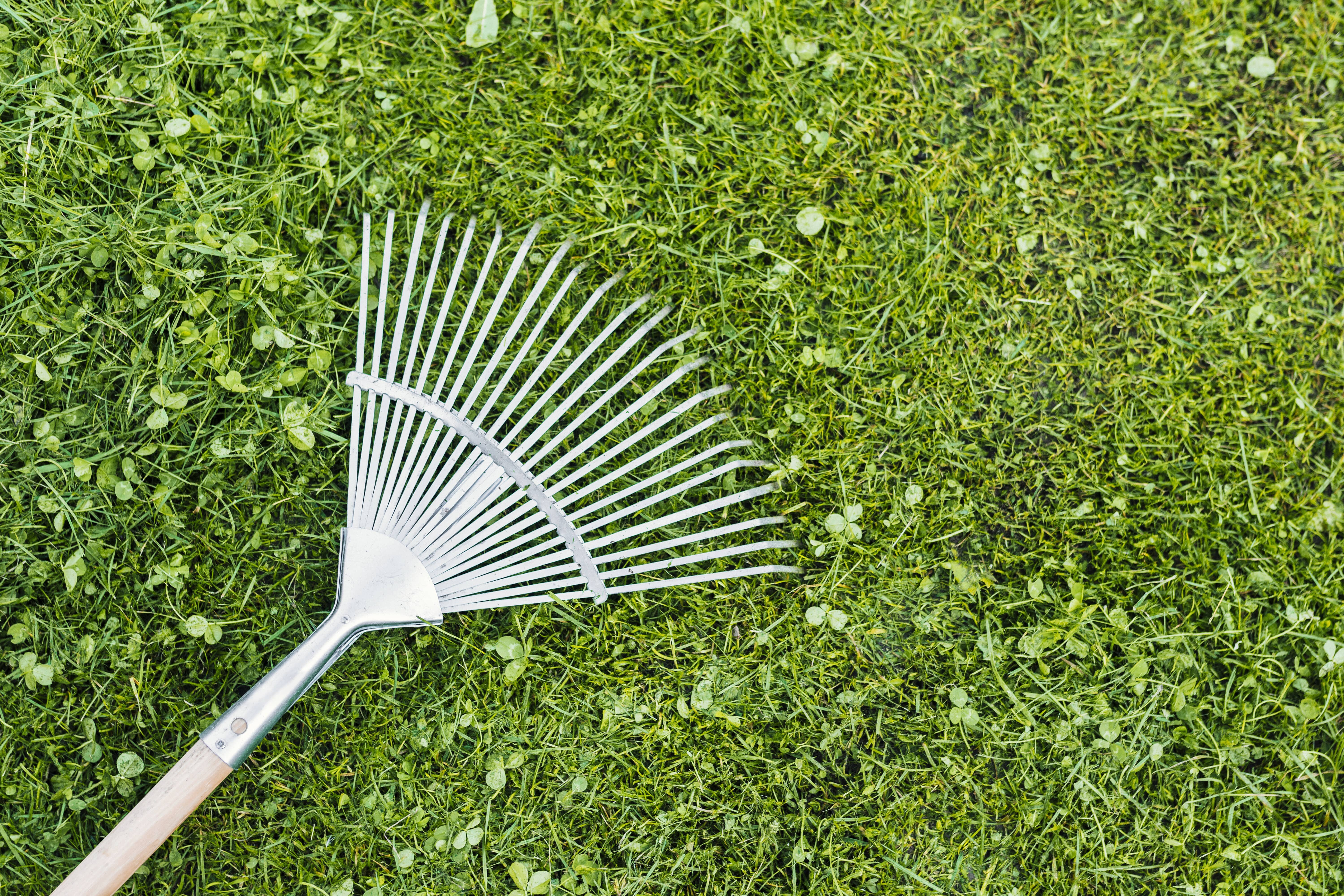 AstroTurf Deep Cleaning